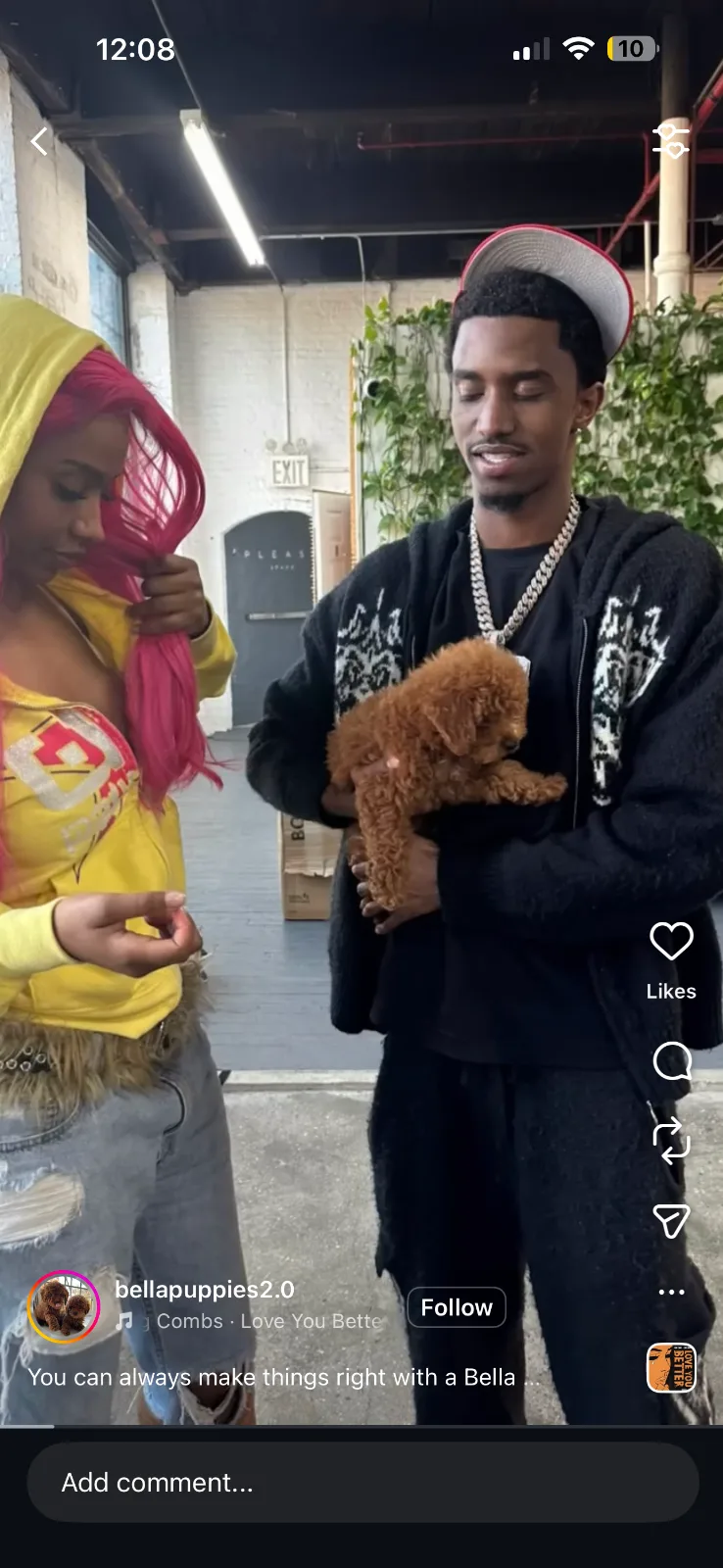 Puppies in Harlem, NY