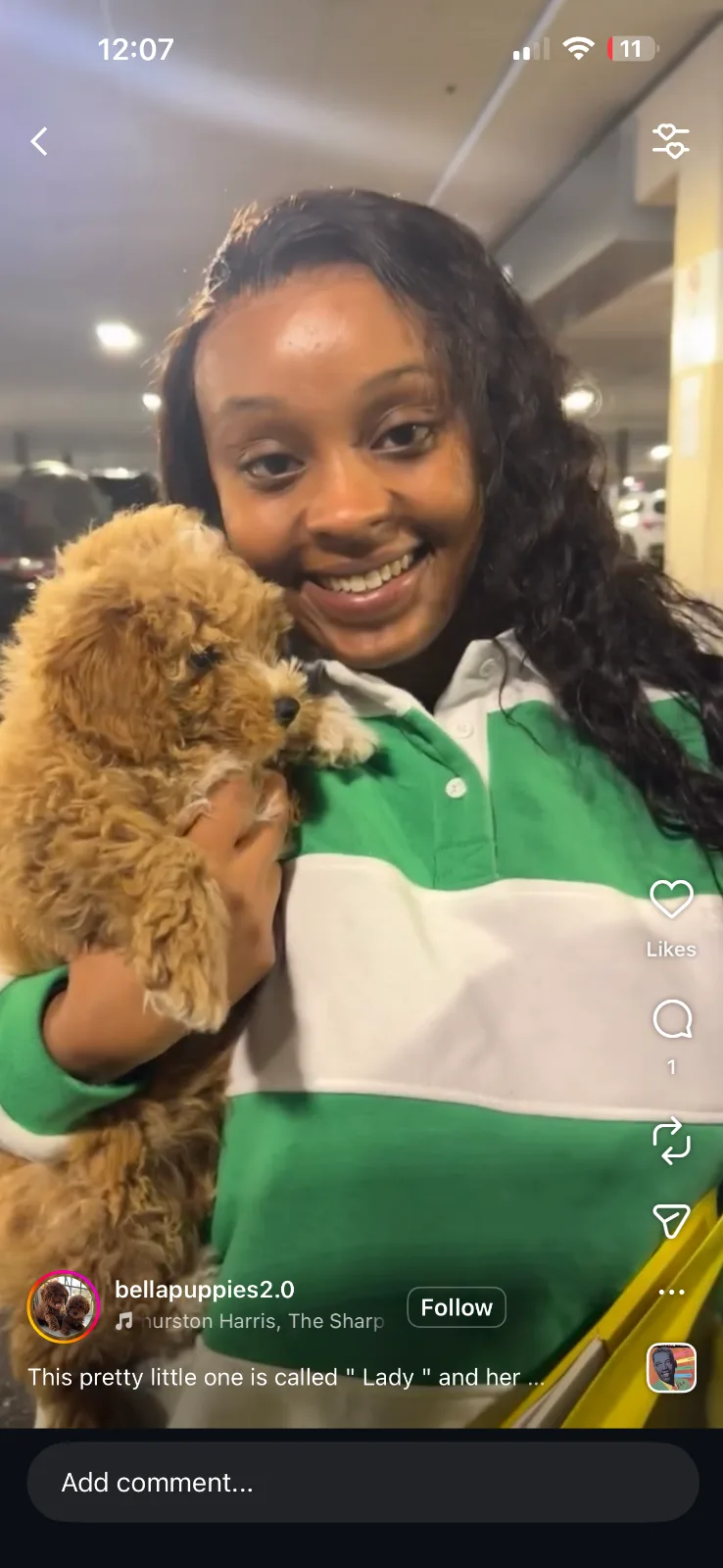 Puppies in Tenafly, NJ