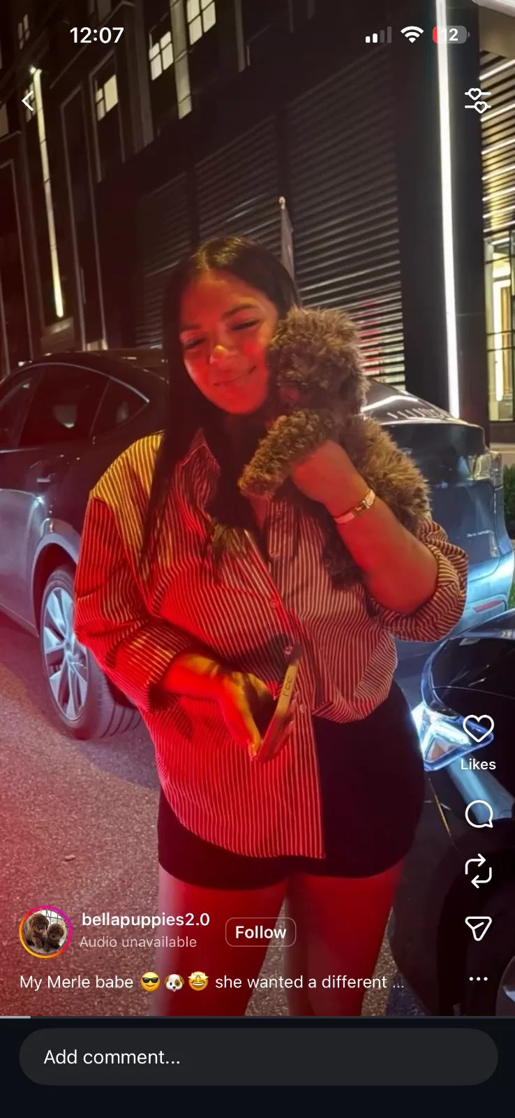 Bellapuppies in Fort Lee