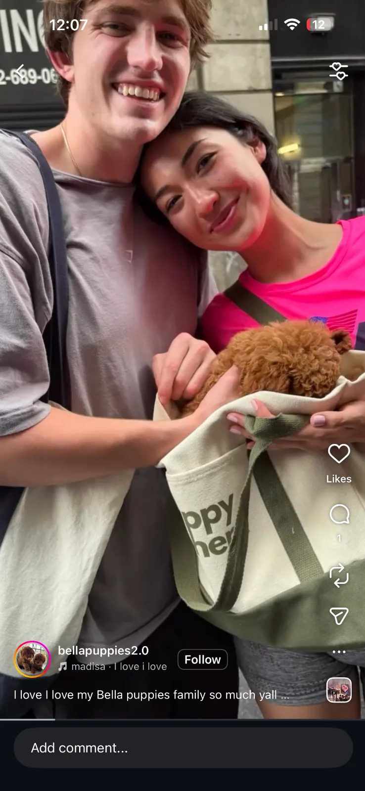 Bellapuppies in Englewood