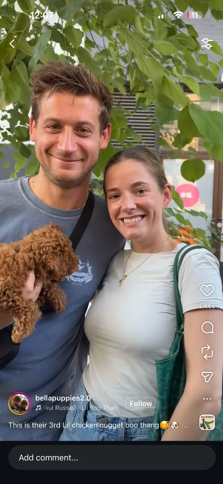 Adopt a Puppy