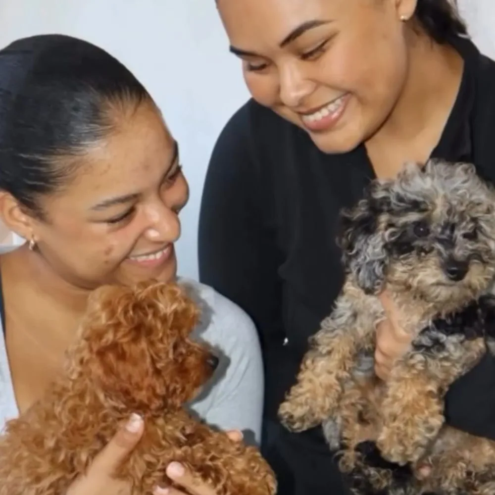 Puppy Events & Parties