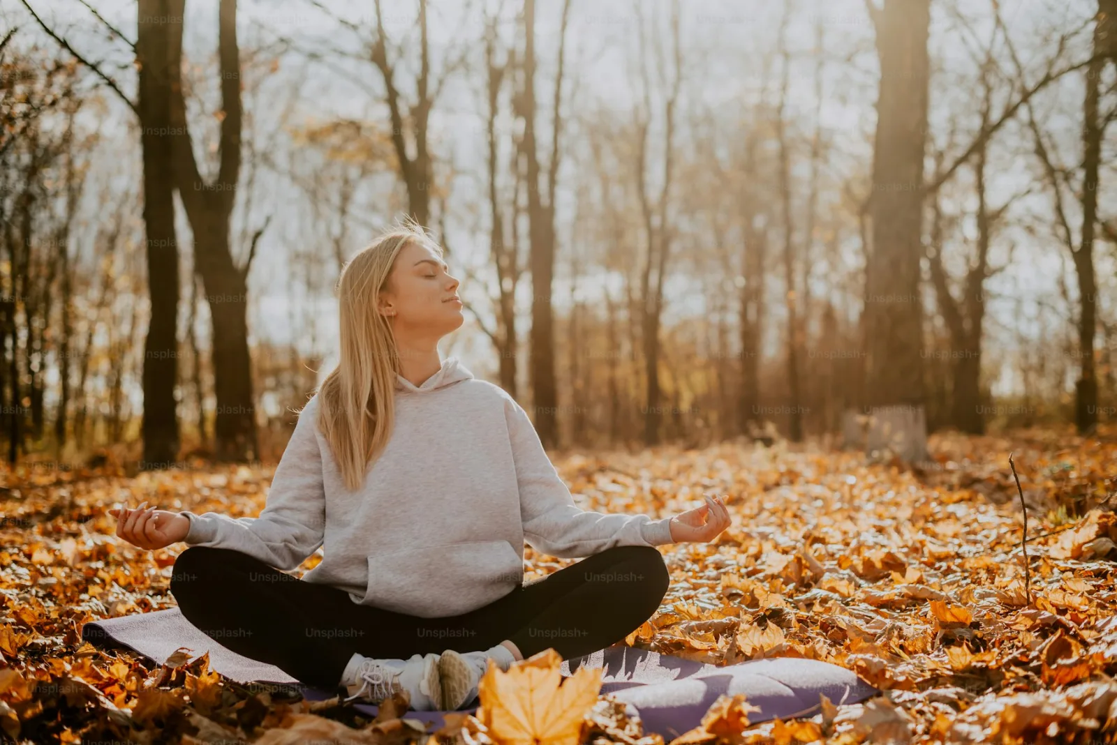 A calm wellness and stress relief session