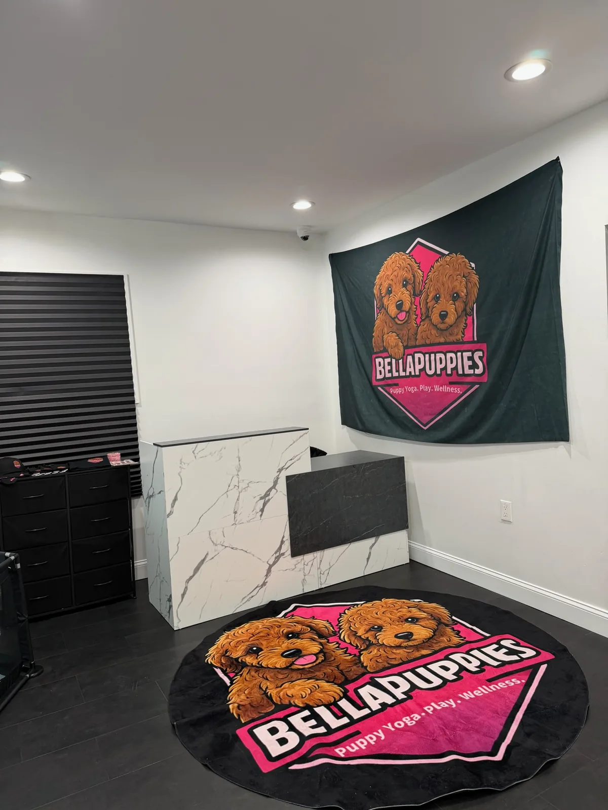 Front desk, with the Bellapuppies banner and branded rug